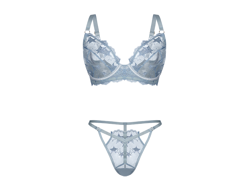 embroidered lingerie embroidered lingerie